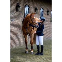Trust Hoofdstel Oslo Bruin/Zilver 7 Trust Hoofdstel Oslo Bruin/Zilver -Paardensport kortingswinkel trust trust heus23l296170.ec7229 1