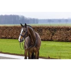 Trust Hoofdstel Wellington Zwart/Zilver Full -Paardensport kortingswinkel trust wellington double bridle mat crank noseband heus23l296364.7dcdce
