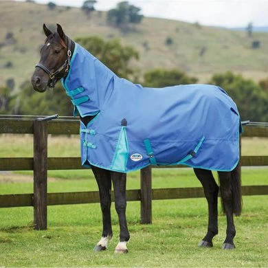 Weatherbeeta Winterdeken Comfitec Classic Combo Neck Medium/Lite 600D 100g Delfts Blauw/Mint 1 Weatherbeeta Winterdeken Comfitec Classic Combo Neck Medium/Lite 600D 100g Delfts Blauw/Mint