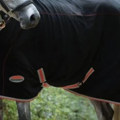 Weatherbeeta Standard Neck Therapy-Tec Fleece Black/Silver/Red -Paardensport kortingswinkel wb 812728 wb therapy tec flc stn stand2 image lifestyle.f02f18