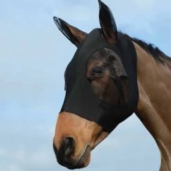 Weatherbeeta Vliegenmasker Stretch Bug Eye Saver Met Oren Zwart/Zwart -Paardensport kortingswinkel wb 819102 wb stretch bug eye saver image lifestyle.66bb81