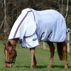 Weatherbeeta Comfitec Airflow II Combo Neck Wit/Lichtblauw/Paars 24 Weatherbeeta Comfitec Airflow II Combo Neck Wit/Lichtblauw/Paars -Paardensport kortingswinkel weatherbeeta 563265636fca30b92dd3fcd71a4c71a7 14.c53b8a