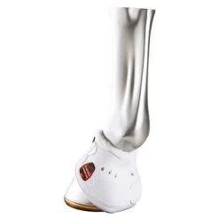 Zandona Balbeschermers Carbon Air Heel White